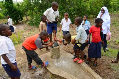 DSC_9512 (Large).JPG